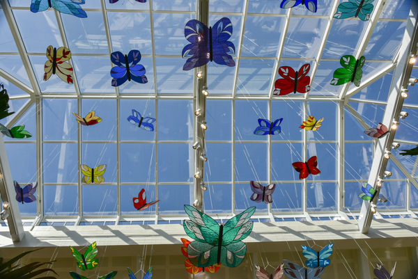 Butterfly mobiles...