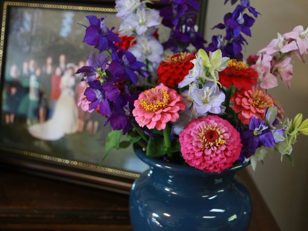 A few zinnias and larkspurs from the cutting garde...