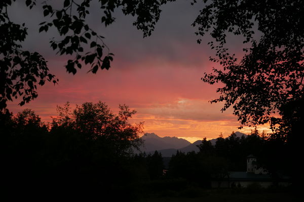 Stunning mid-August sunset over the Olympic Mounta...
