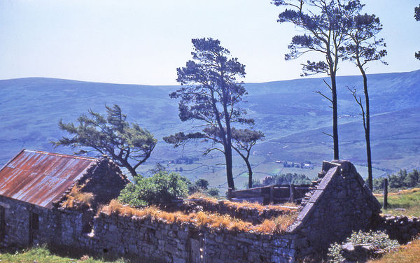 Same house, Co. Wicklow, 1957...