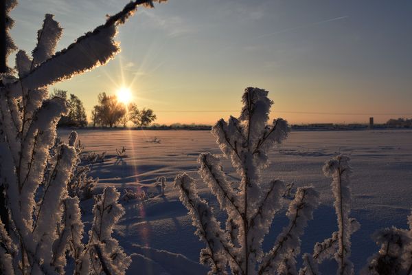 Snowy Sunrise...