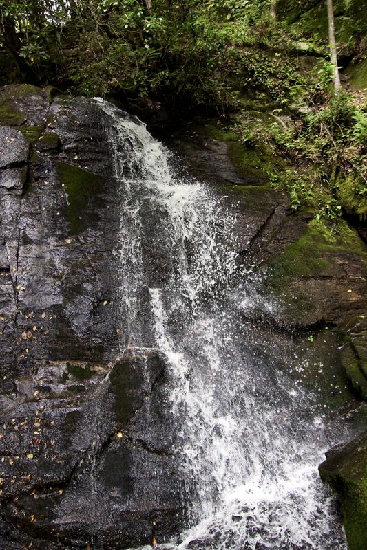 Waterfalls: In the Smoky Mountain National Park. My sister and I just ...