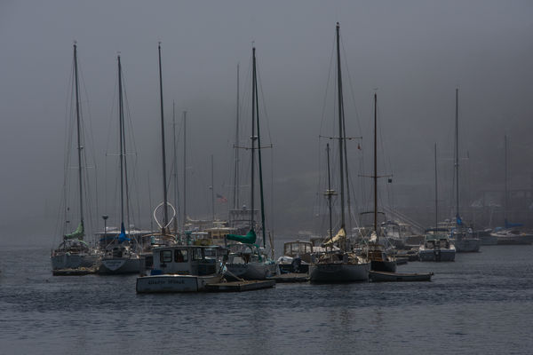 Camden Harbor on a foggy day...