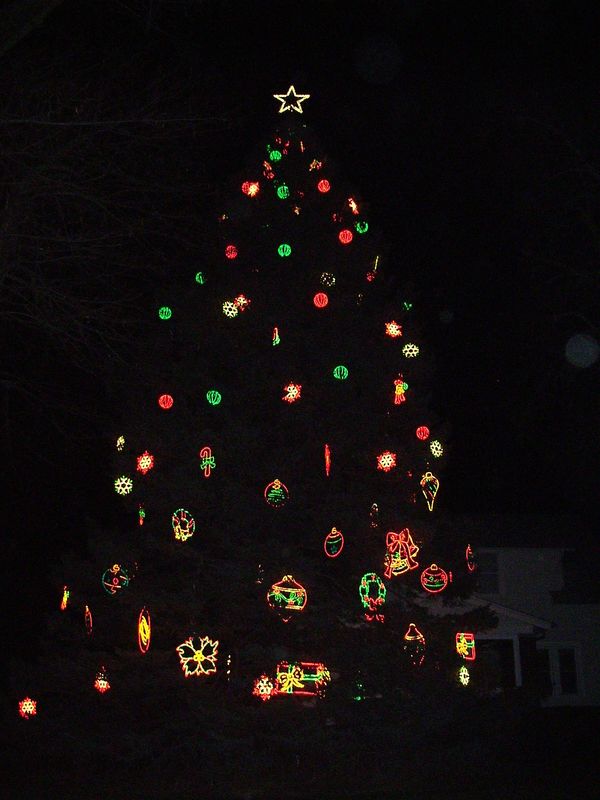 West Point, NE Community Tree...