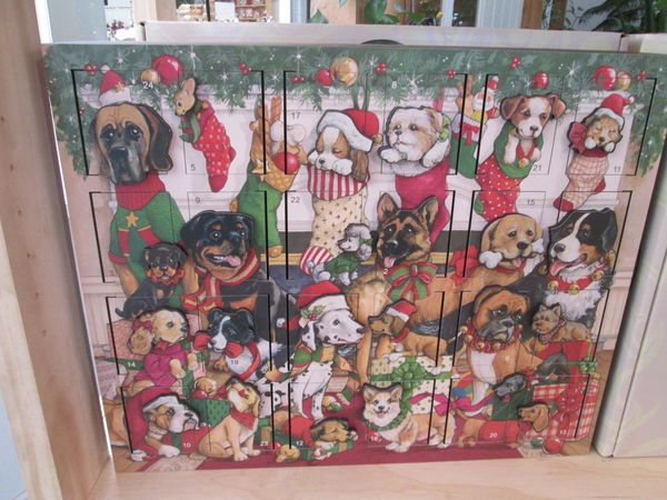 Doggy Advent Calendar box...