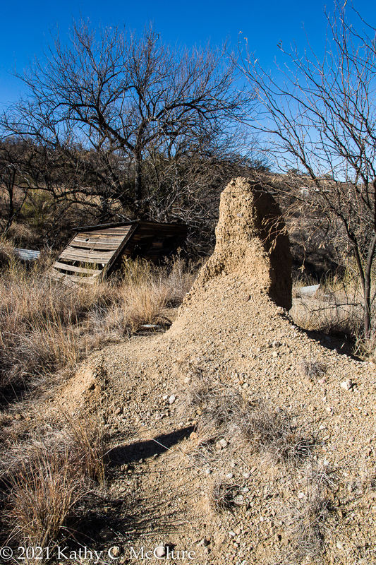 Totally disintegrated  adobe building.  (The privy...