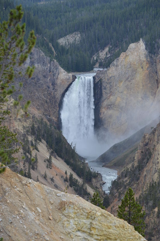 Lower Yellowstone falls...