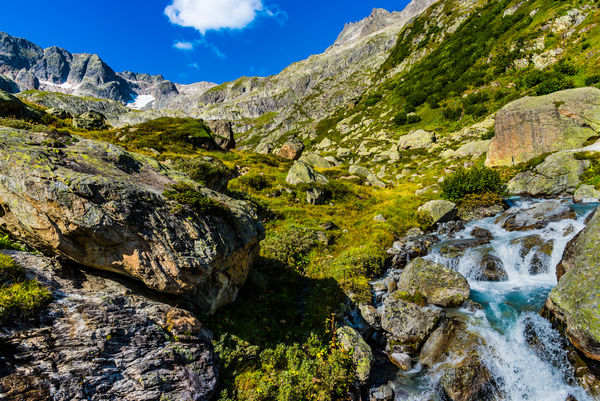 3 - Switzerland/UR/Wassen - Rock-strewn alpine mea...