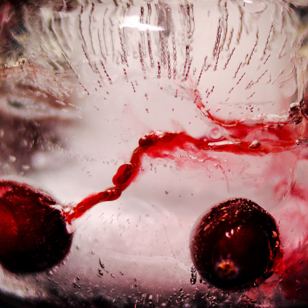 Cranberries in ice,  an old experiment....