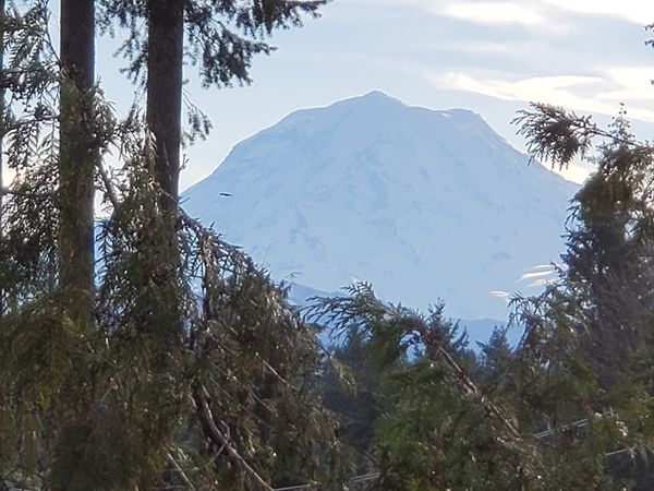 Mt Rainier viewed from my favorite location within...