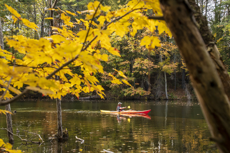 Autumn scene in Maine...