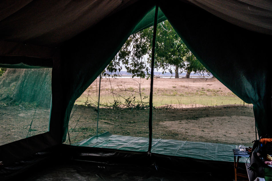 View from inside my tent...