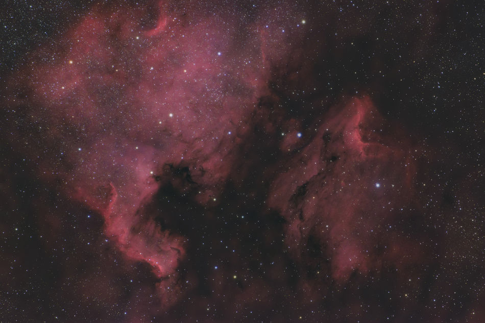North American (NGC 7000) and Pelican (IC 5070) in...