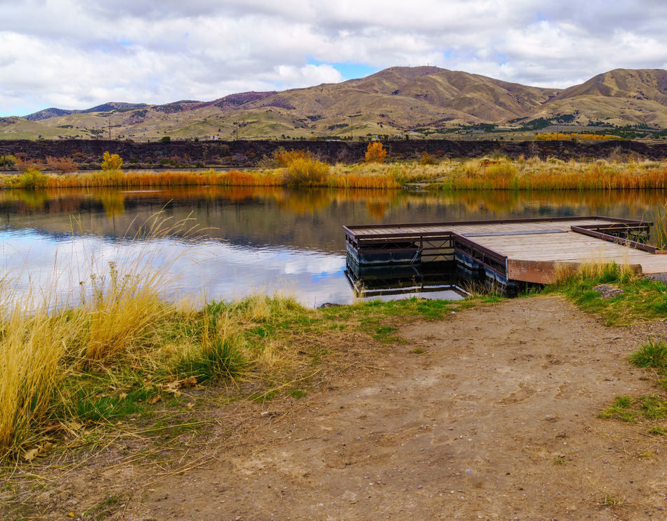 Fishing Pond and a Magpie After taking the dogs on the Portneuf River