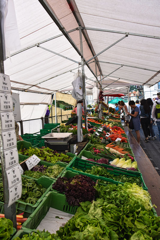 The Farmer's Market along the right bank of the Re...