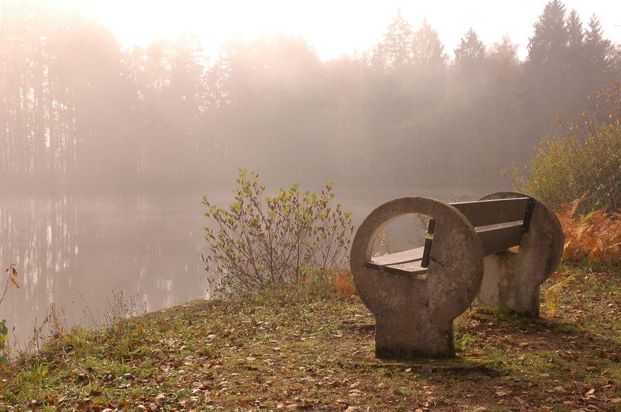 In the middle of nowhere, a bench is offered for m...
