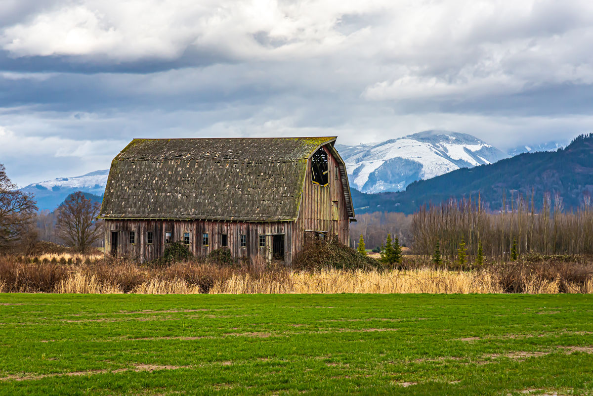 5 - January: CONWAY/Skagit County - Old barn in a ...