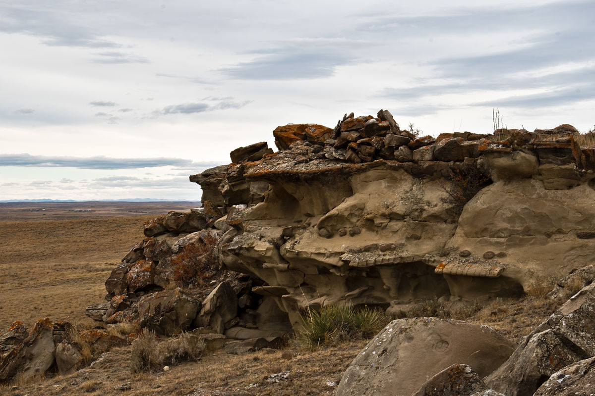 Cool looking rock formations in that pile...