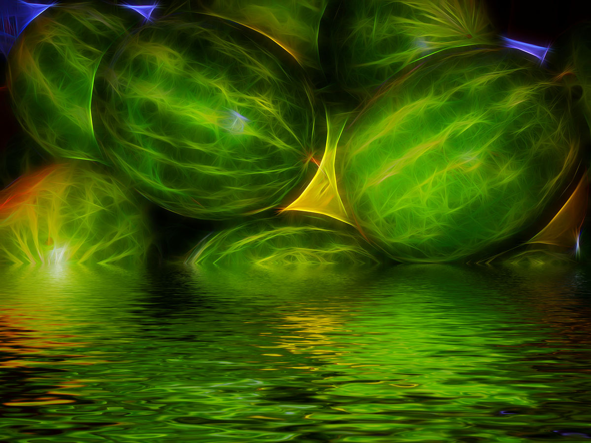 MELLONS DUMPED IN WATER...