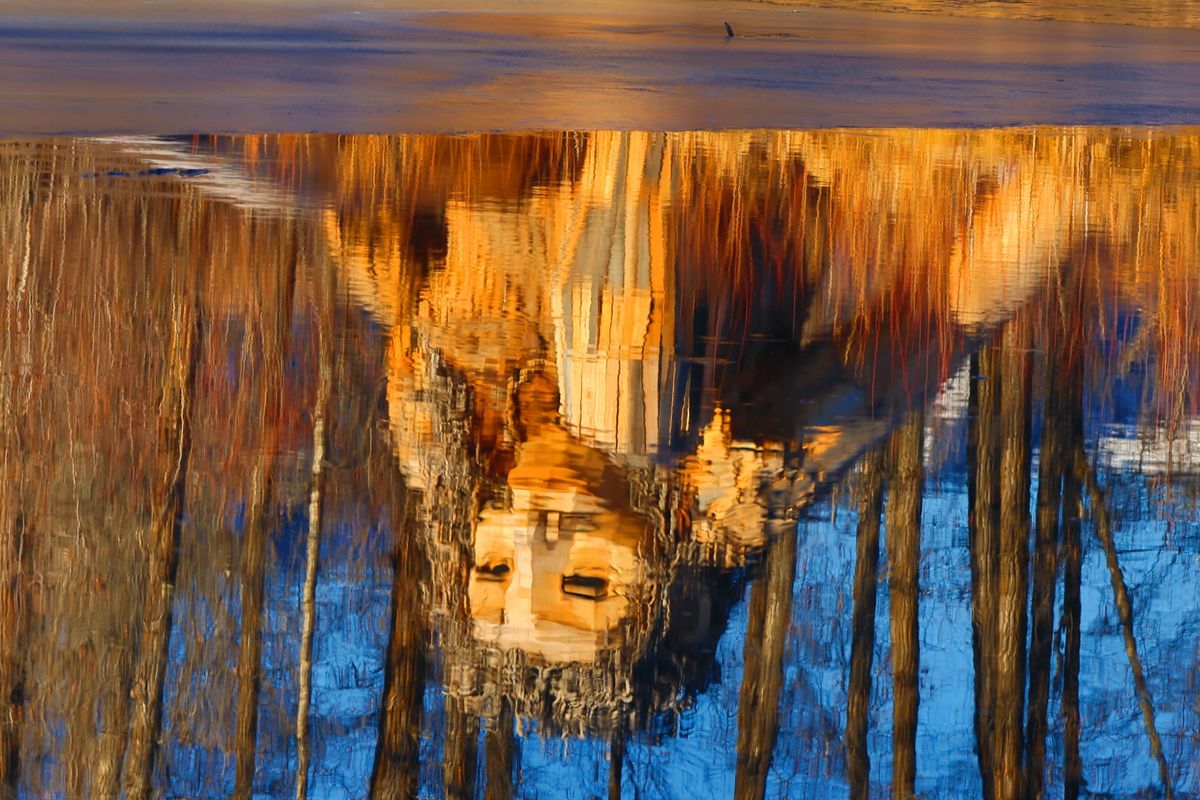 sculpture reflection in a winter pond...