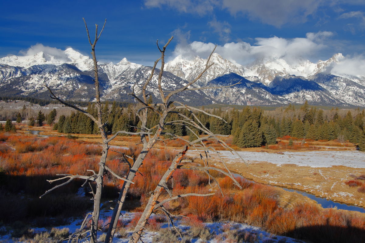 The tetons from Blacktail ponds overlook...