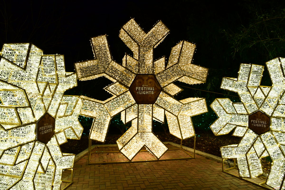 Cincinnati zoo Christmas lights Kinda did the express tour tonight, in