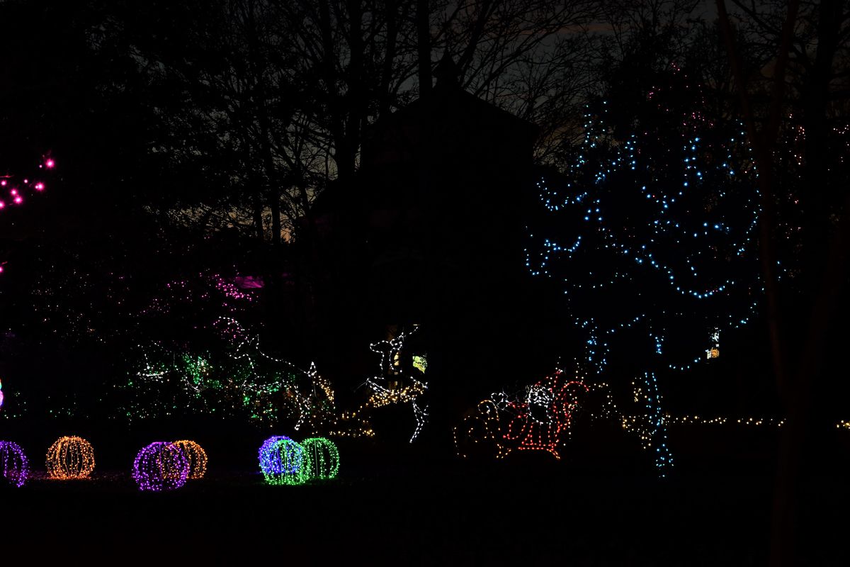 Cincinnati zoo Christmas lights Kinda did the express tour tonight, in