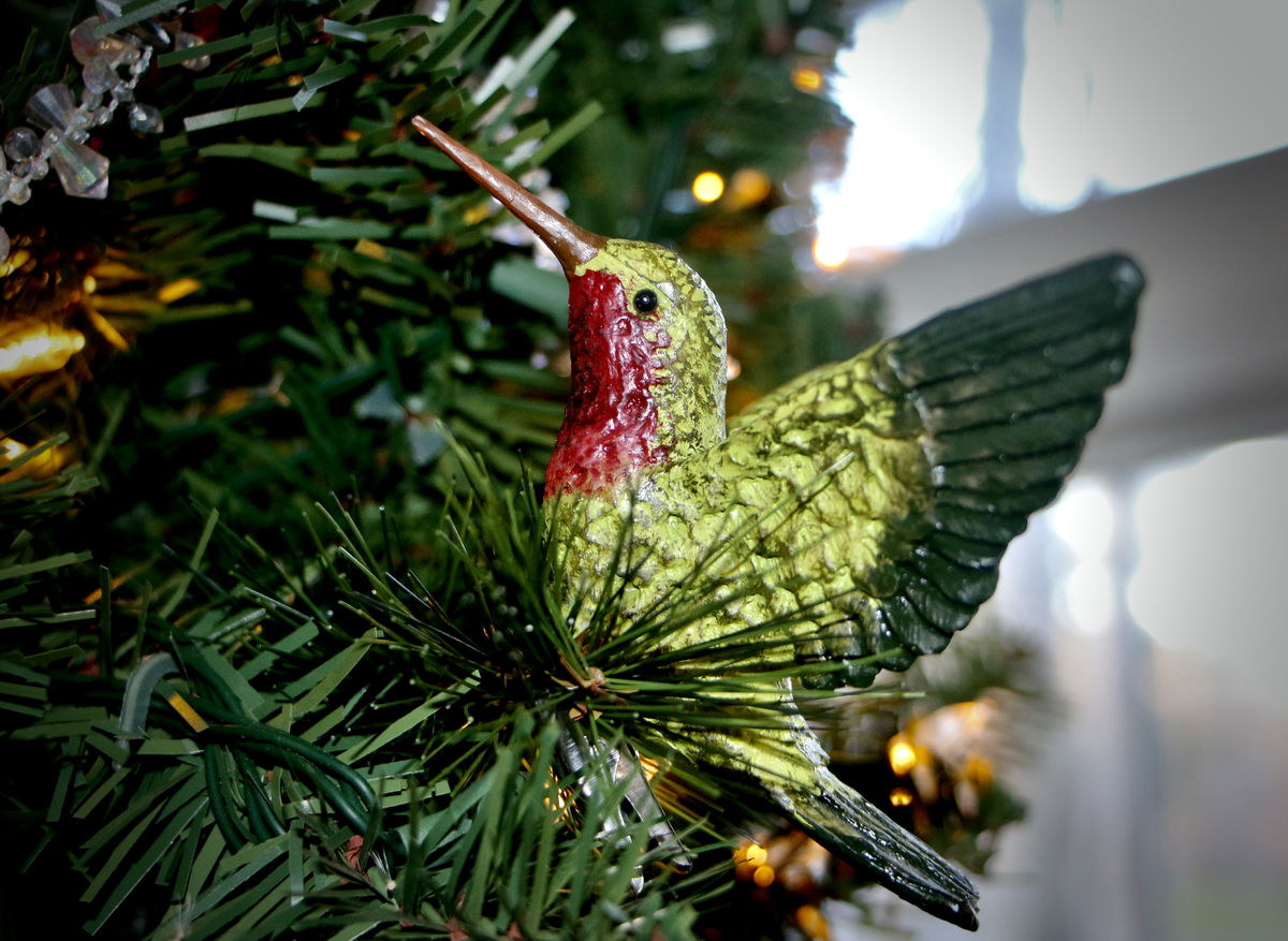 enjoying the christmas birds before packing them a...