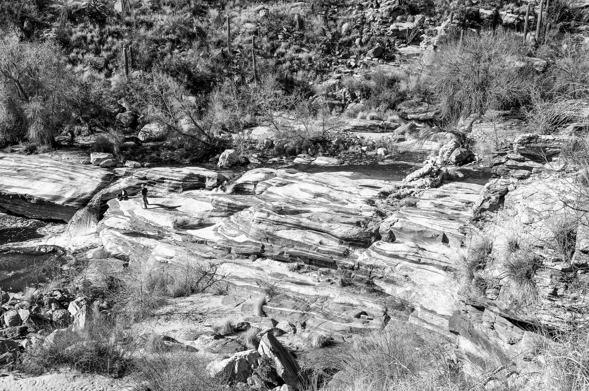 gneiss rock in Sabino Canyon, AZ...