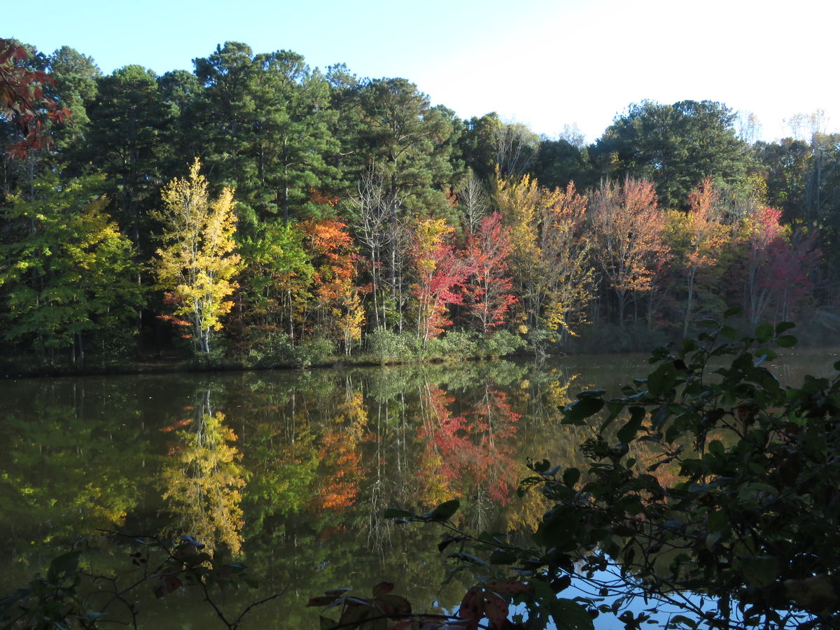 the autumn leaves were beautiful along lake peacht...