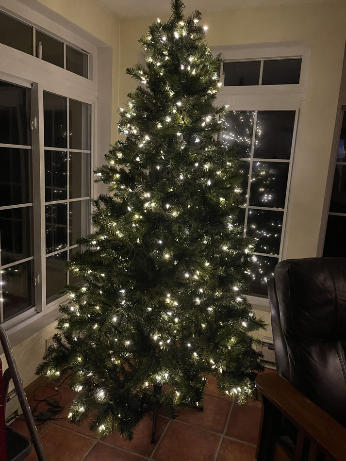 Start for Christmas Tree...no bulbs yet!...