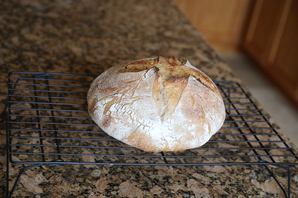 Homemade sourdough bread...