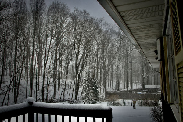 looking out the back door!...
