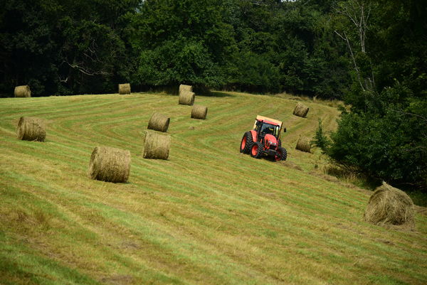 Baling hay...