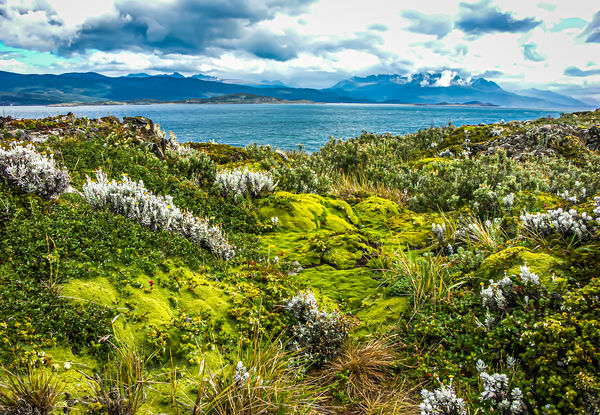 4 - Argentina/Ushuaia - Nature walk on the Tierra ...