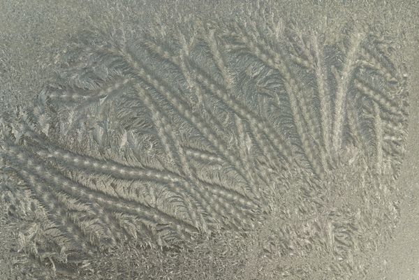 Frost on the greenhouse window...