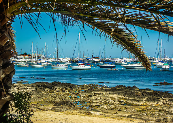 7 - Uruguay/Punta del Este - Shore and marina...
