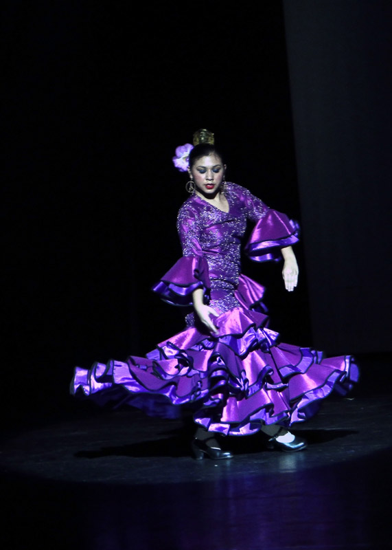 Flamenco Dancer...