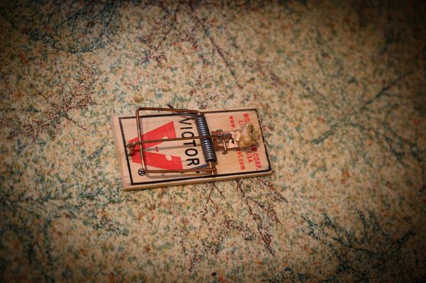 And in an old country kitchen, mouse traps are as ...