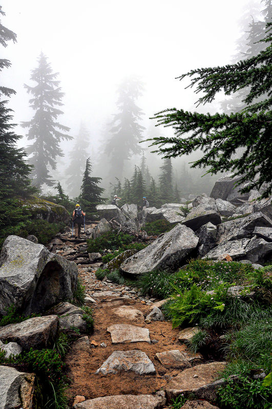 2 - USA/Washington/Snohomish County - On hike up M...