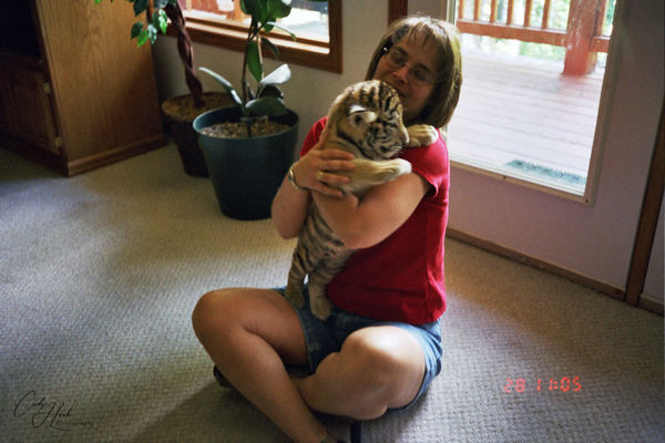 4. Me holding tiger cub...
