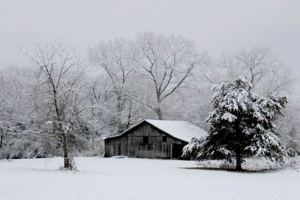Snowy Barn on Hilham Hwy...