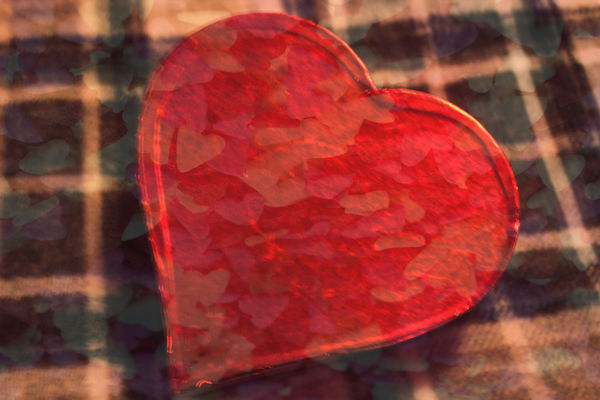 Heart Shaped Box with Heart confetti texture...