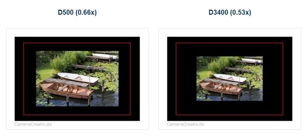 Both are DX format Nikons, pentaprism viewfinder l...