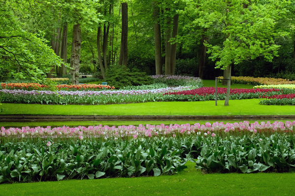 Keukenhof Gardens near Amsterdam, Netherlands...