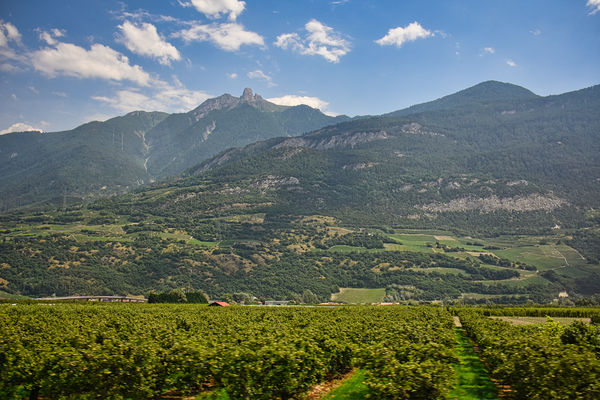 The Rhone Valley...