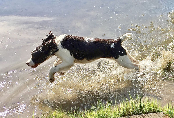 Our Sadie loves the water!...