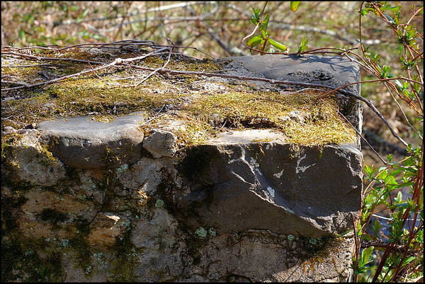 2. Part of old stone wall....