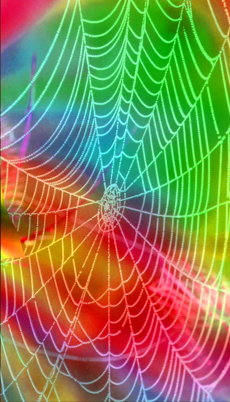 Abstract spiderweb superimposed on image from diff...