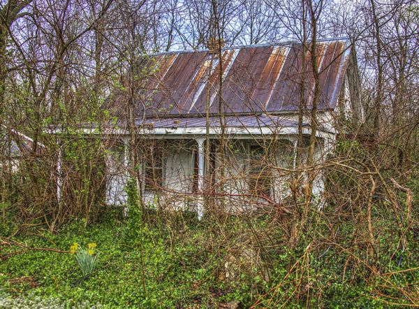 Old house and weeds...